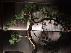 -大拙里·精致融合菜(沙湖桃源国际店)