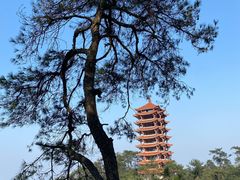 -缙云山景区