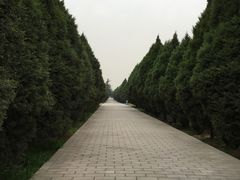 -秦始皇帝陵博物院-丽山园
