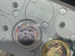 -猫的天空之城概念书店(苏州平江店)