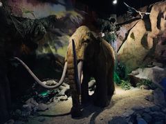 -抚顺煤矿博物馆