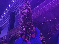 -世界之窗阿尔卑斯冰雪世界