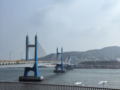 -枸杞岛