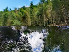 -宁波浙东大竹海景区