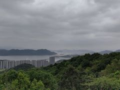 -黄贤森林公园
