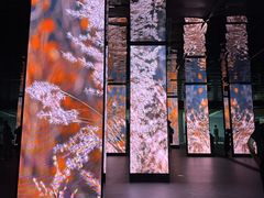 -中国湿地博物馆