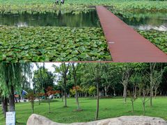 -暨阳湖生态园