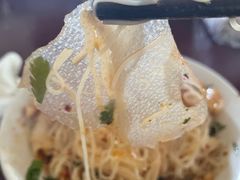 -邓氏大薄片