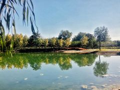 -永定河休闲森林公园