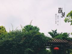 -鹅湖玫瑰文化园