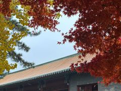 -湛山寺