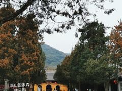 -惠山国家森林公园