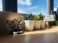 -猫小主咖啡·猫咖cat cafe(福田店)
