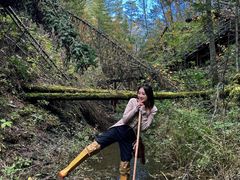 -峡谷浮石林景区