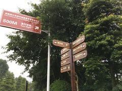 -成都蒲江花样年福朋喜来登度假酒店·宜客乐西餐厅