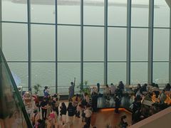 -抱抱地球咖啡馆(国家海洋博物馆店)