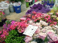 -循礼门鲜花花市(武汉循礼门店)