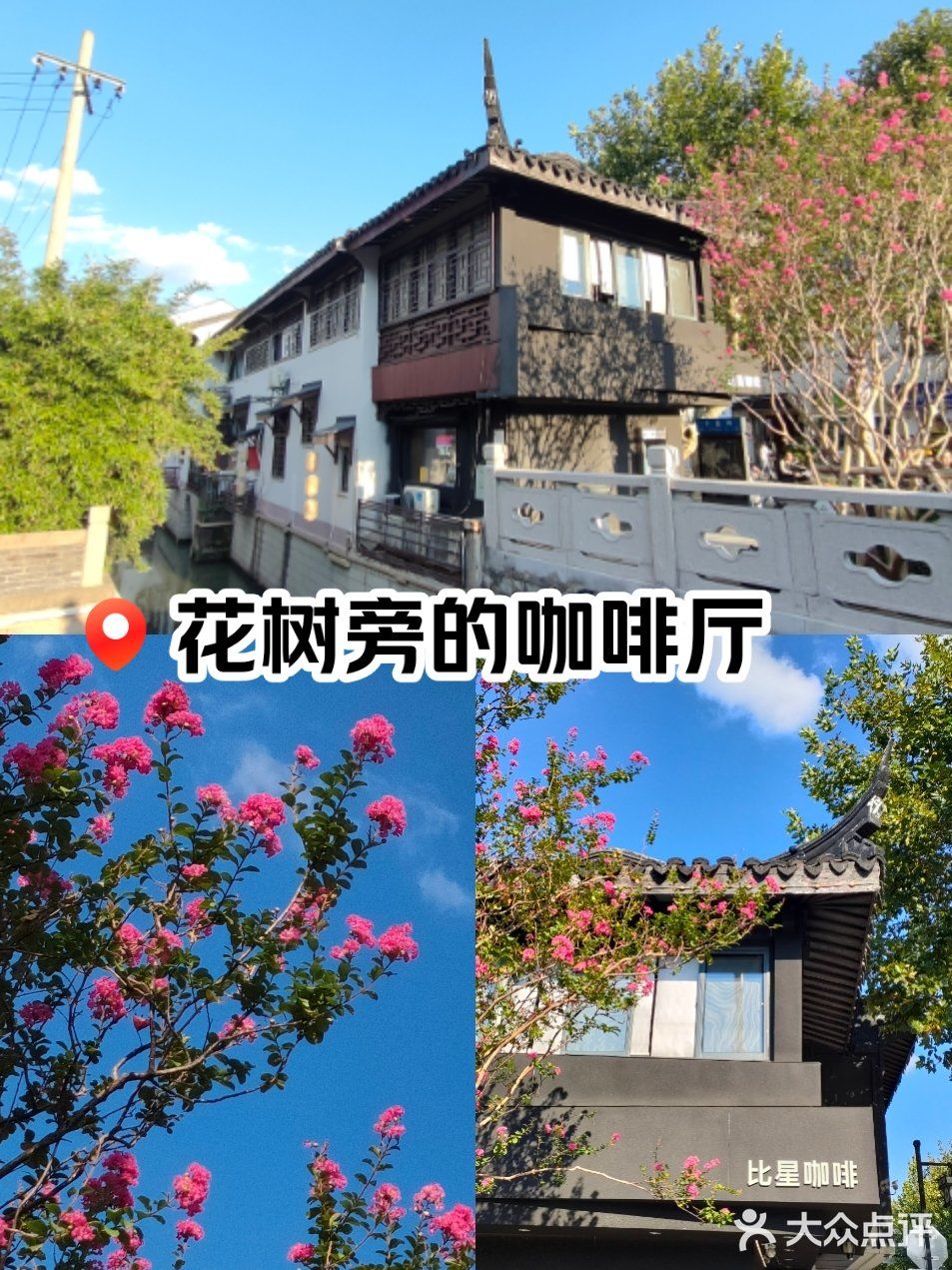花树旁的咖啡厅