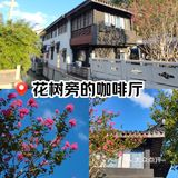花树旁的咖啡厅