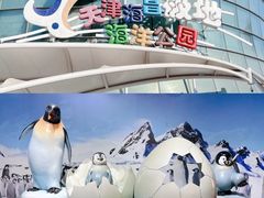 -海合安天津极地海洋公园