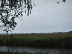 -野鸭湖国家湿地公园