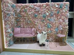 -Dazzling Cafe 蜜糖吐司专卖店