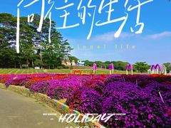 -松山湖梦幻百花洲