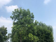 -燕郊植物园