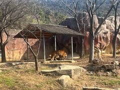 -无锡动物园·太湖欢乐园
