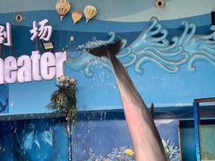 -苏州海洋馆