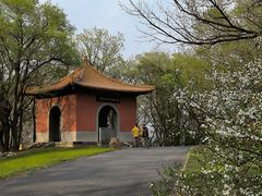 -萨尔浒风景区
