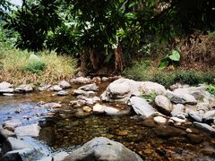 -梧桐山风景名胜区