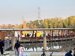 -昆山城市生态森林公园