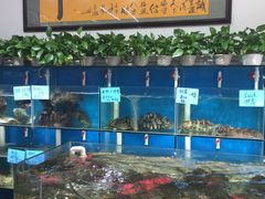 -鑫悦楼煎蟹·16年海鲜大排档