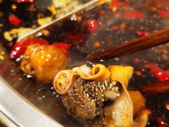 纯鲜毛肚-储奇门鳝鱼火锅(总店)