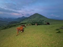 -大姆山草场