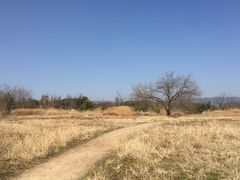 -良渚古城遗址公园