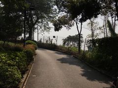 -大渡口区义渡公园