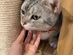 -小时光咖啡馆(开森度假森林店)