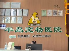 -半岛宠物医院24小时·内窥镜·牙科·碎石中心(府城大道店)