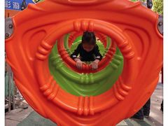 -晓港公园