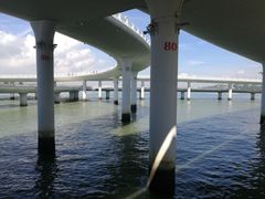 景点-演武大桥观景平台