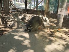 -石家庄市动物园