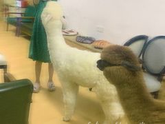-猫色咖啡·猫咖