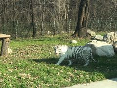 -西安秦岭野生动物园