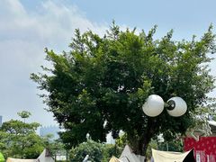 -广西壮族自治区药用植物园