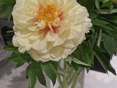 -去茶山(新光里店)