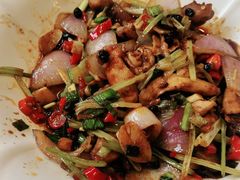 -紫光园·烤鸭·北京菜(劲松店)