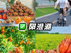 -上海山野camping·户外天幕烧烤·团建拓展营地