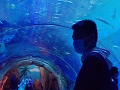 -华夏文旅海洋公园